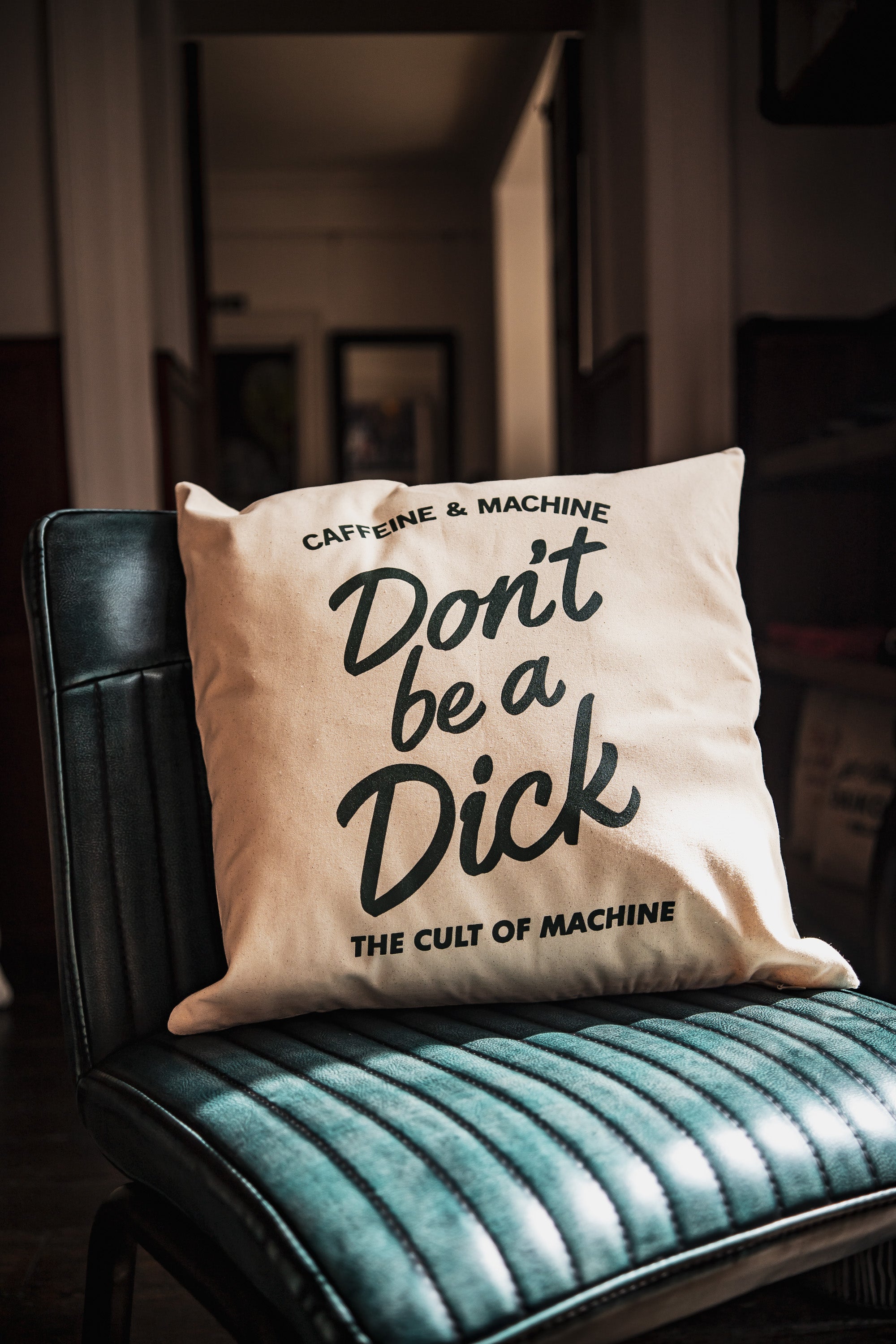 C&M.Don't Be A Dick. Cushion.