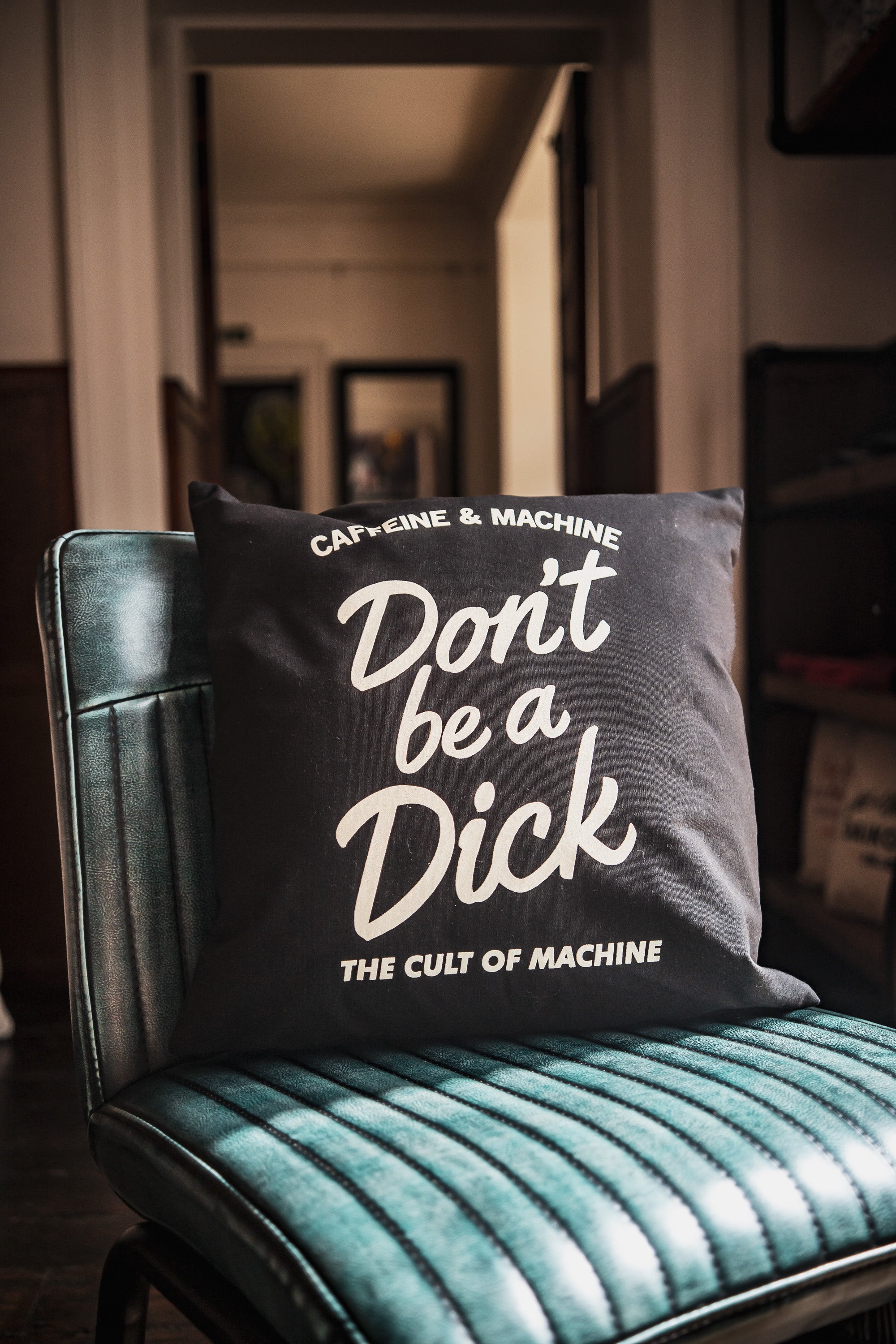 C&M.Don't Be A Dick. Cushion.
