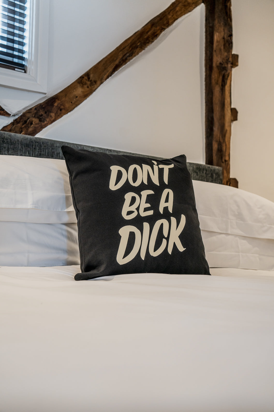 Don't Be A Dick. Cushion.k
